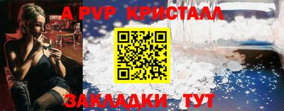 крисы Коммунар