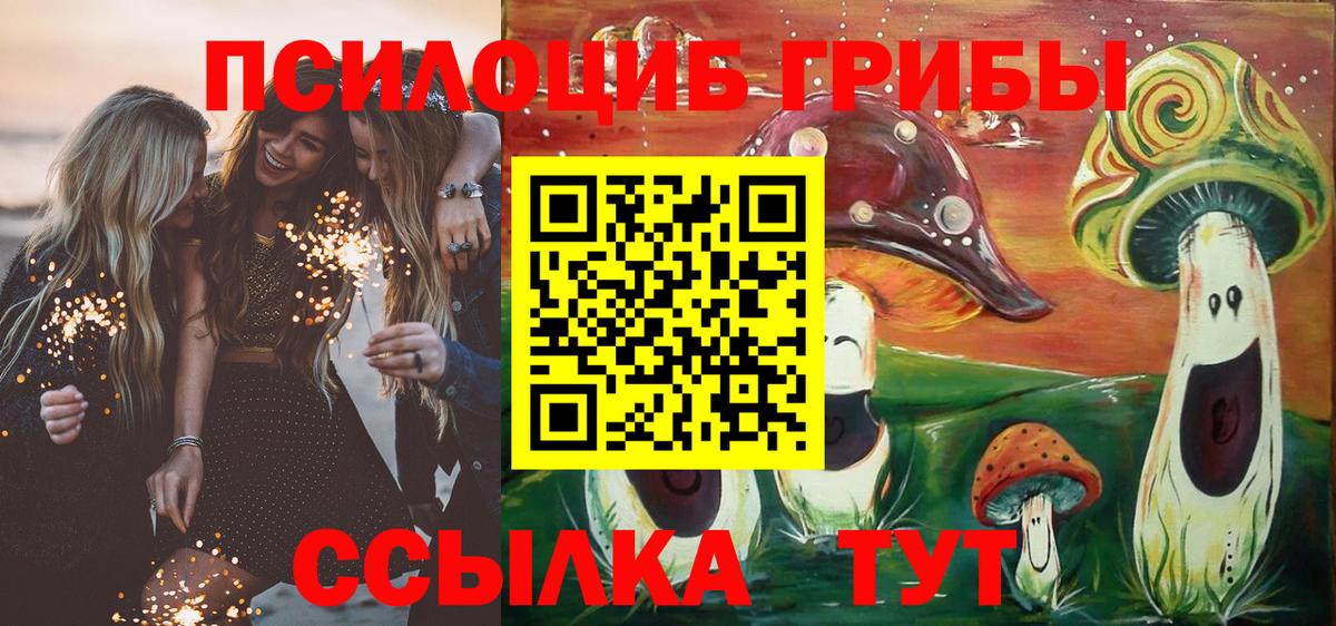 Псилоцибиновые грибы Psilocybine cubensis Дагестанские Огни