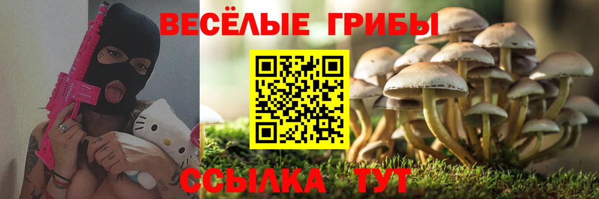 где купить наркоту  Вход с VPN  Дагестанские Огни  Псилоцибиновые грибы мицелий 