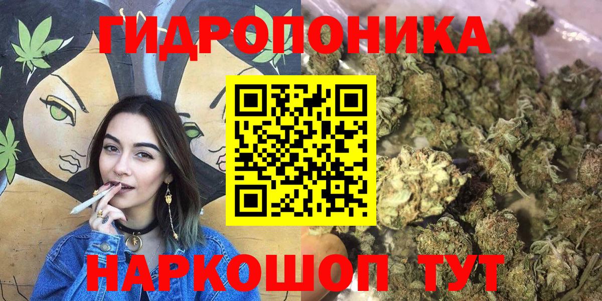 Канабис сатива Дагестанские Огни